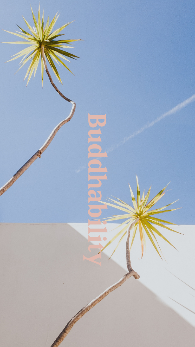 Buddhability iPhone Wallpaper