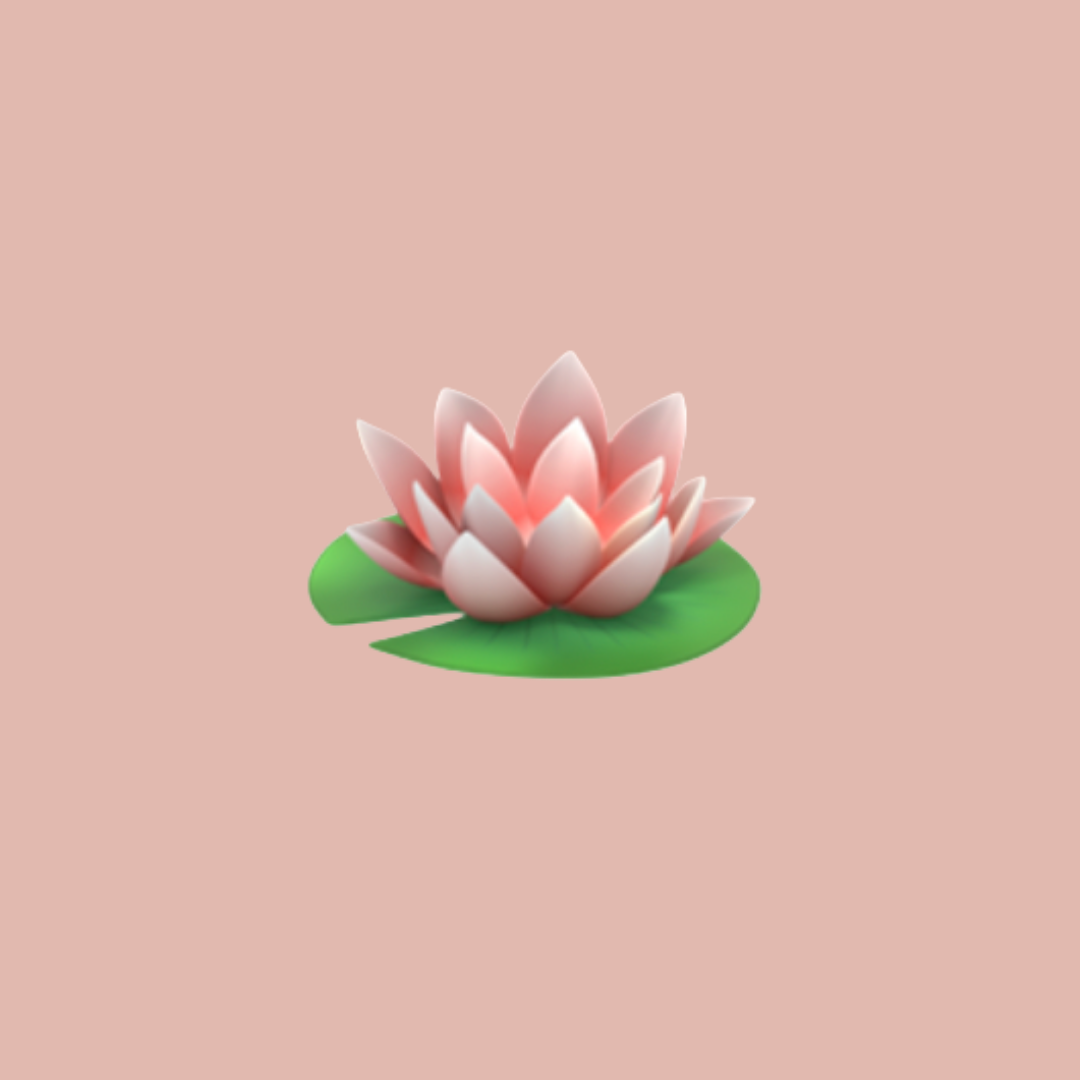 What the Lotus Flower Symbolizes in Buddhism | buddhability